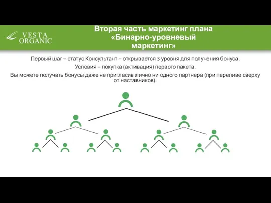 Вторая часть маркетинг плана «Бинарно-уровневый маркетинг» Первый шаг – статус Консультант – открывается