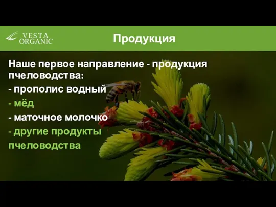 Продукция Наше первое направление - продукция пчеловодства: - прополис водный - мёд -