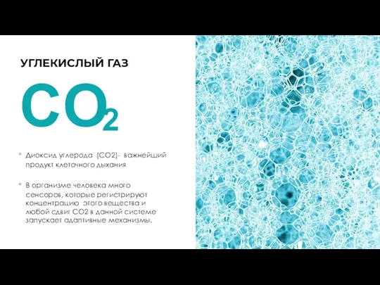 УГЛЕКИСЛЫЙ ГАЗ Диоксид углерода (СО2)- важнейший продукт клеточного дыхания В организме человека много