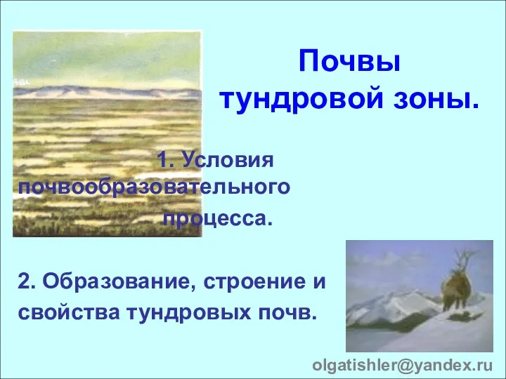 Почвы тундровой зоны. 1. Условия почвообразовательного процесса. 2. Образование, строение и свойства тундровых почв. olgatishler@yandex.ru