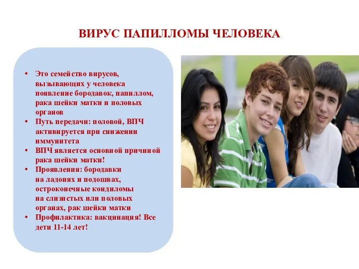 ВИРУС ПАПИЛЛОМЫ ЧЕЛОВЕКА Это семейство вирусов, вызывающих у человека появление