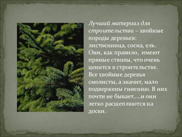 Лучший материал для строительства – хвойные породы деревьев: лиственница, сосна,