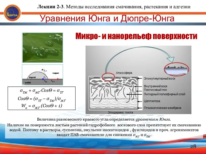 Уравнения Юнга и Дюпре-Юнга Величина равновесного краевого угла определяется уравнением