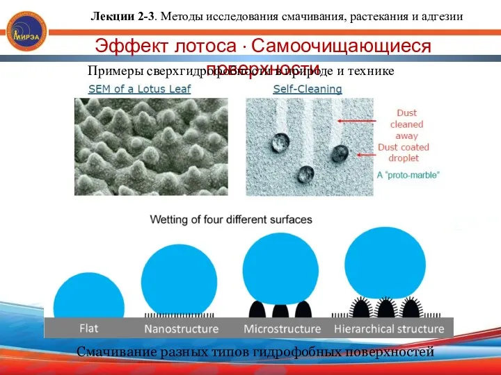 Эффект лотоса ∙ Самоочищающиеся поверхности Смачивание разных типов гидрофобных поверхностей