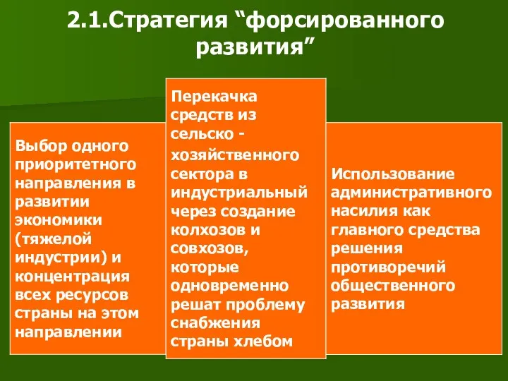 2.1.Стратегия “форсированного развития”