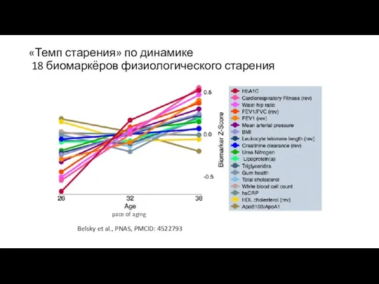 «Темп старения» по динамике 18 биомаркёров физиологического старения Belsky et