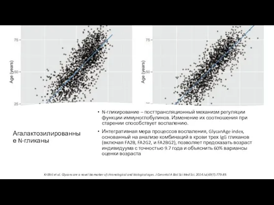 Агалактозилированные N-гликаны N-гликирование – посттрансляционный механизм регуляции функции иммуноглобулинов. Изменение