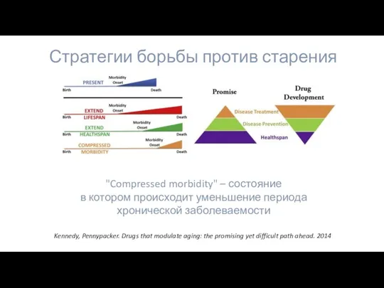 "Compressed morbidity" – состояние в котором происходит уменьшение периода хронической