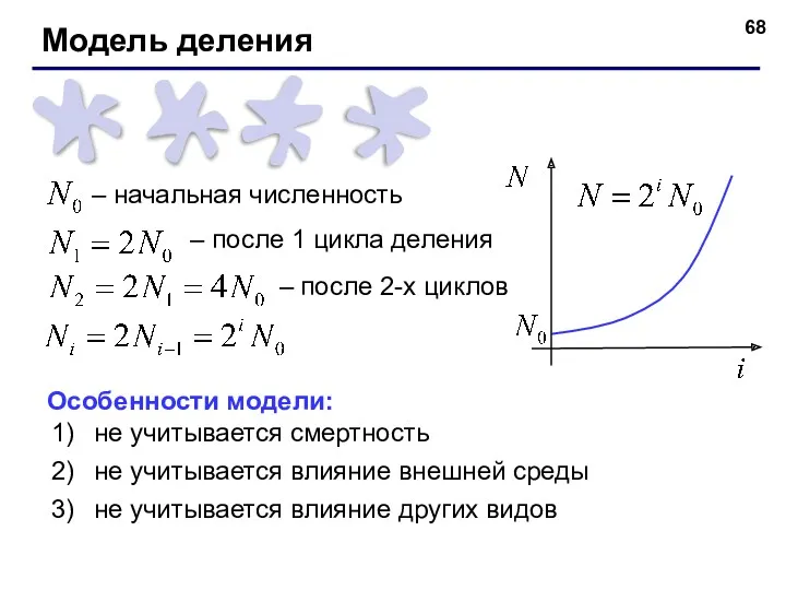 Модель деления – начальная численность – после 1 цикла деления – после 2-х