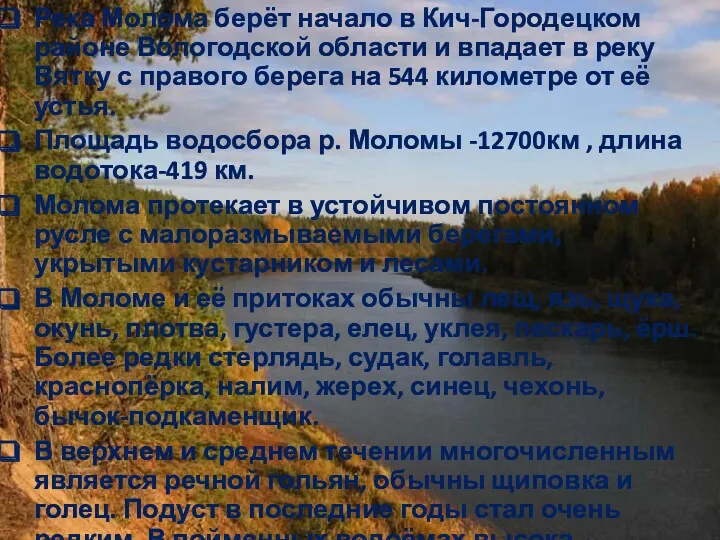 Река Молома берёт начало в Кич-Городецком районе Вологодской области и