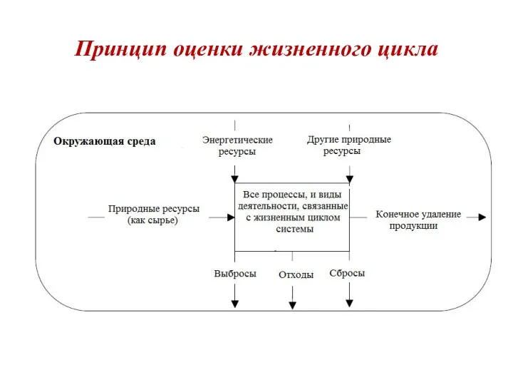 Принцип оценки жизненного цикла