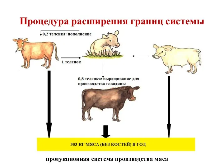 Процедура расширения границ системы продукционная система производства мяса