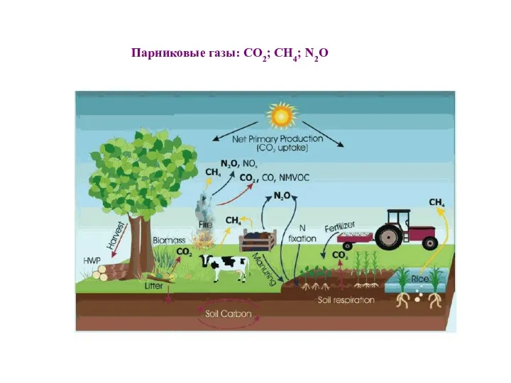 Парниковые газы: CO2; CH4; N2O