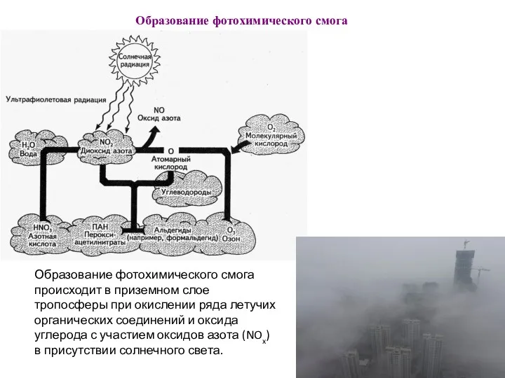 Образование фотохимического смога Образование фотохимического смога происходит в приземном слое