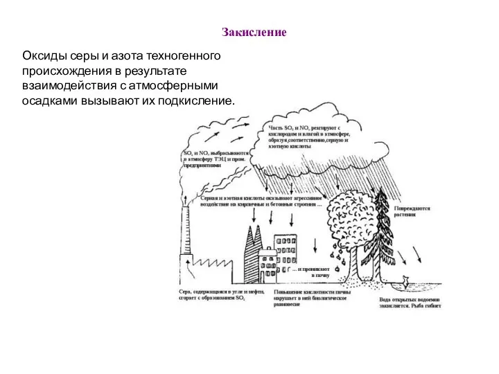 Закисление Оксиды серы и азота техногенного происхождения в результате взаимодействия с атмосферными осадками вызывают их подкисление.