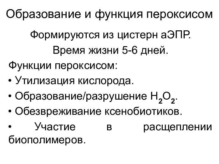 Образование и функция пероксисом Формируются из цистерн аЭПР. Время жизни