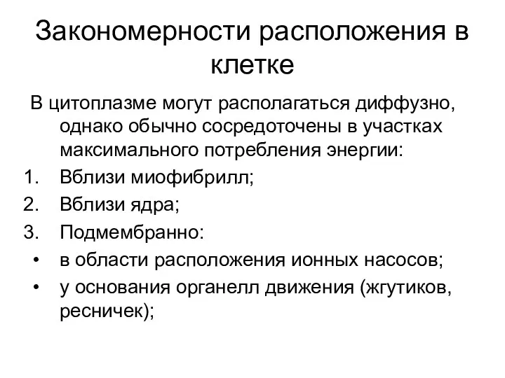 Закономерности расположения в клетке В цитоплазме могут располагаться диффузно, однако