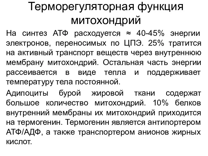 Терморегуляторная функция митохондрий На синтез АТФ расходуется ≈ 40-45% энергии