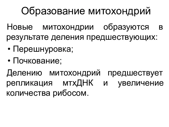 Образование митохондрий Новые митохондрии образуются в результате деления предшествующих: Перешнуровка;