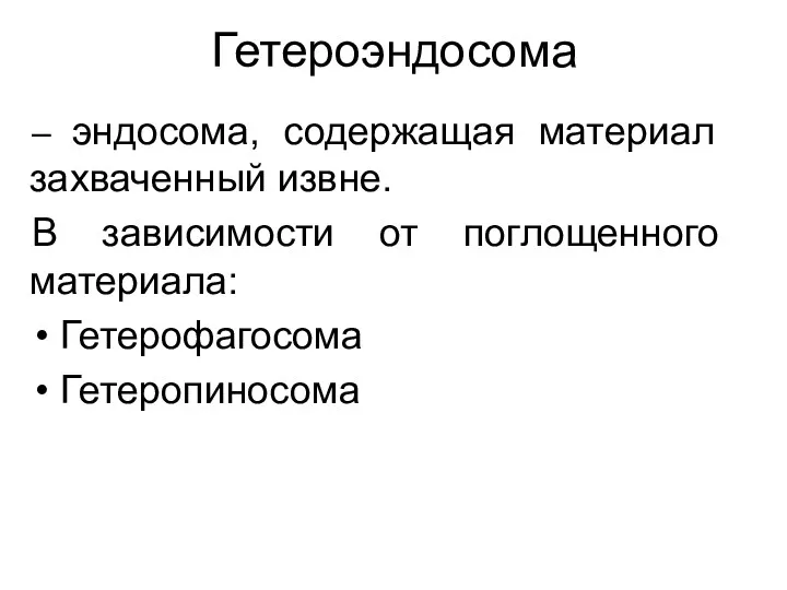 Гетероэндосома – эндосома, содержащая материал захваченный извне. В зависимости от поглощенного материала: Гетерофагосома Гетеропиносома