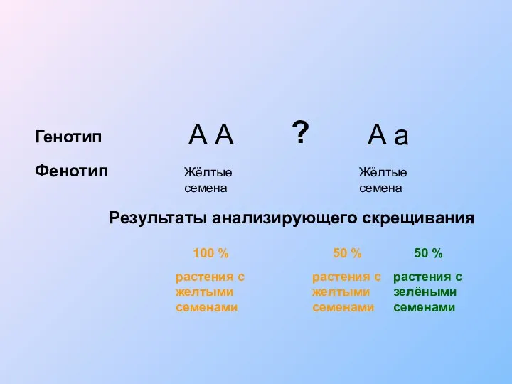 А А А а Жёлтые семена Жёлтые семена Генотип Фенотип