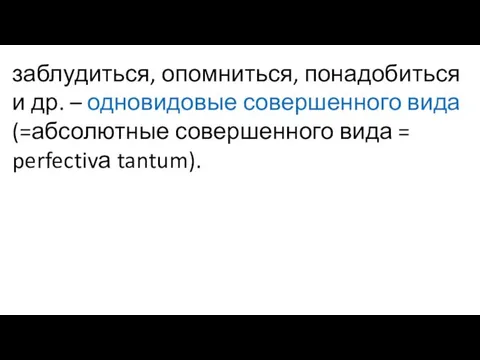 заблудиться, опомниться, понадобиться и др. – одновидовые совершенного вида (=абсолютные совершенного вида = perfectivа tantum).