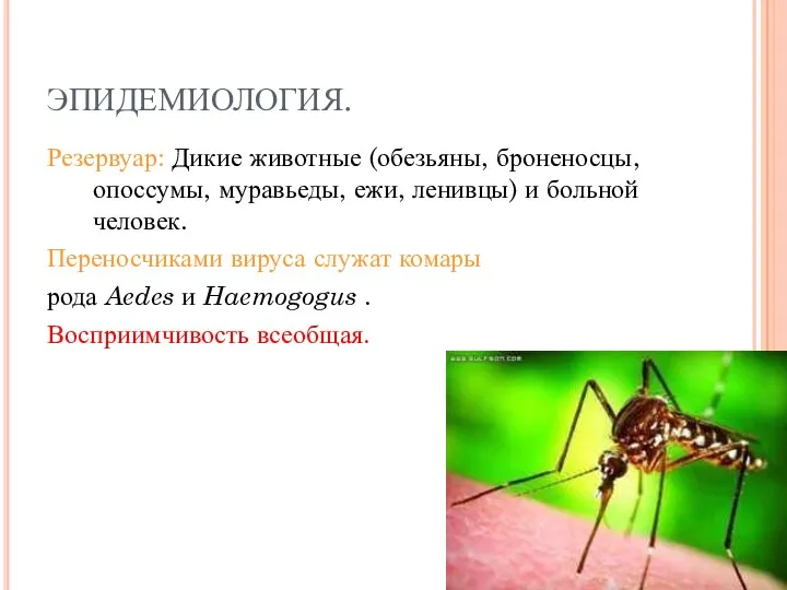 ЭПИДЕМИОЛОГИЯ. Резервуар: Дикие животные (обезьяны, броненосцы, опоссумы, муравьеды, ежи, ленивцы)