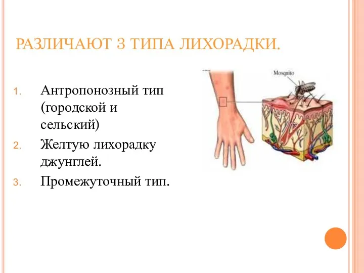 РАЗЛИЧАЮТ 3 ТИПА ЛИХОРАДКИ. Антропонозный тип (городской и сельский) Желтую лихорадку джунглей. Промежуточный тип.