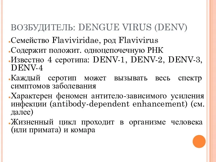 ВОЗБУДИТЕЛЬ: DENGUE VIRUS (DENV) Семейство Flaviviridae, род Flavivirus Содержит положит.