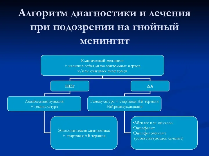 Алгоритм диагностики и лечения при подозрении на гнойный менингит