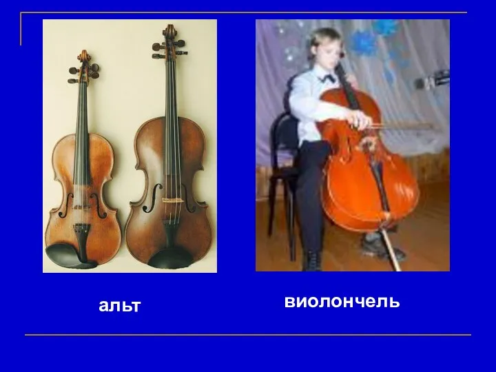 альт виолончель