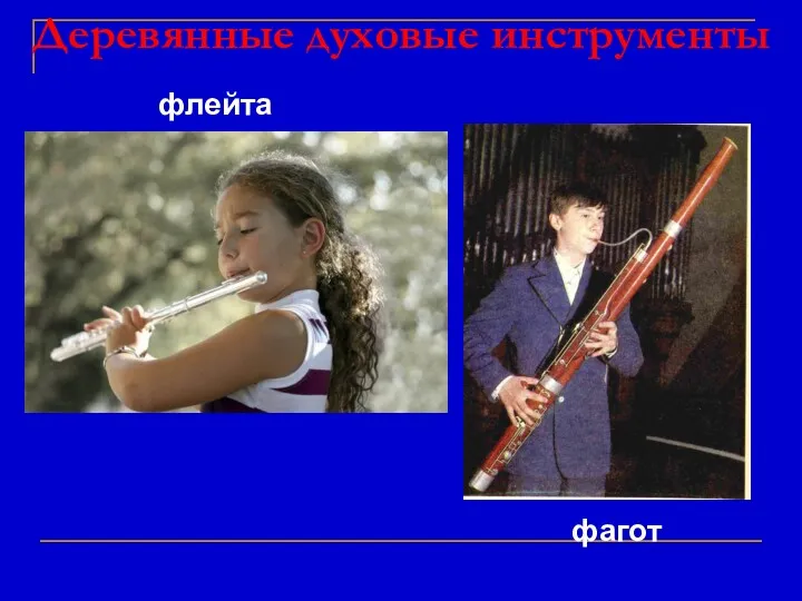 Деревянные духовые инструменты флейта фагот
