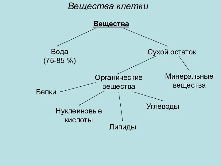 Вещества Вода (75-85 %) Сухой остаток Вещества клетки Минеральные вещества