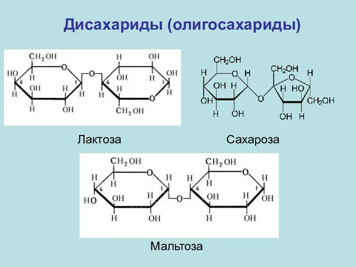Дисахариды (олигосахариды) Лактоза Сахароза Мальтоза