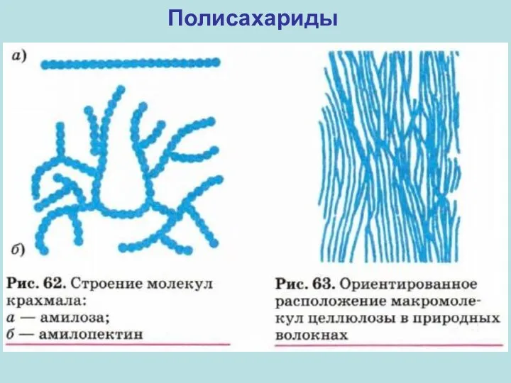 Полисахариды