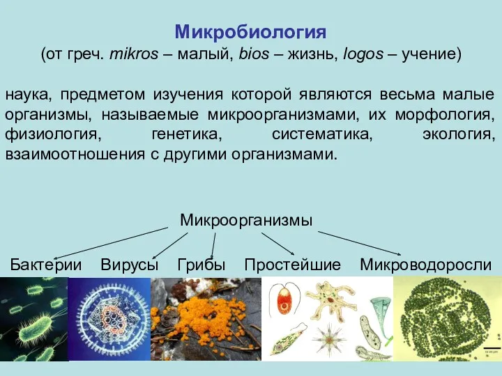 Микробиология (от греч. mikros – малый, bios – жизнь, logos