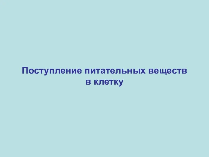 Поступление питательных веществ в клетку