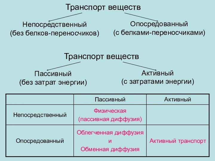 Транспорт веществ Непосредственный (без белков-переносчиков) Опосредованный (с белками-переносчиками) Транспорт веществ Пассивный (без затрат