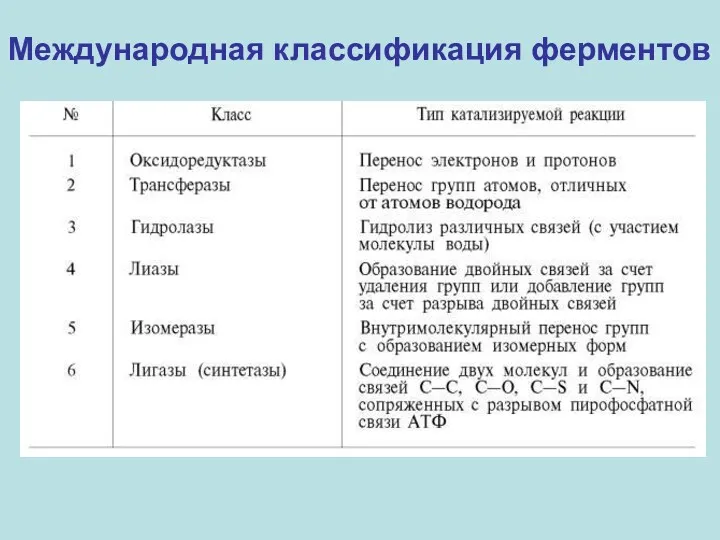 Международная классификация ферментов