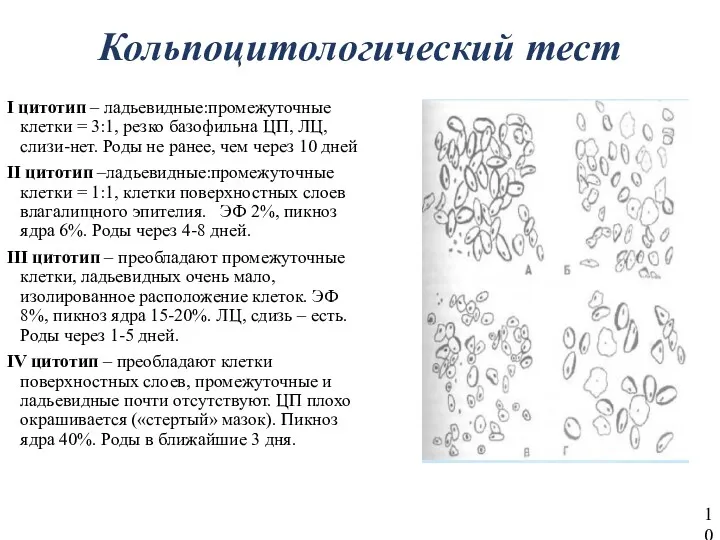 Кольпоцитологический тест I цитотип – ладьевидные:промежуточные клетки = 3:1, резко