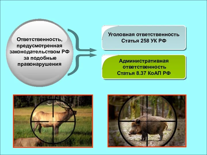 Уголовная ответственность Статья 258 УК РФ Административная ответственность Статья 8.37