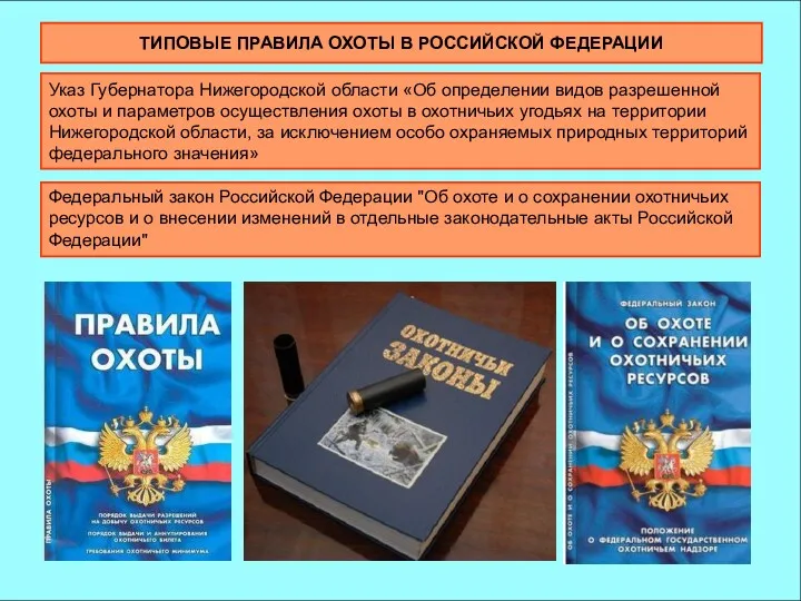 ТИПОВЫЕ ПРАВИЛА ОХОТЫ В РОССИЙСКОЙ ФЕДЕРАЦИИ Указ Губернатора Нижегородской области