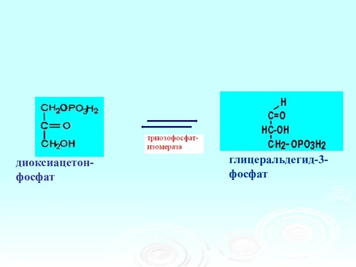 глицеральдегид-3-фосфат диоксиацетон- фосфат