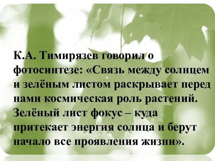 К.А. Тимирязев говорил о фотосинтезе: «Связь между солнцем и зелёным