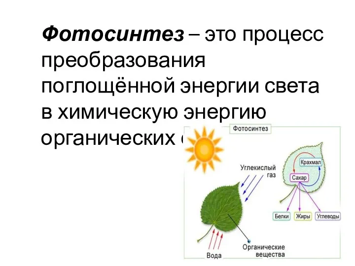 Фотосинтез – это процесс преобразования поглощённой энергии света в химическую энергию органических соединений.