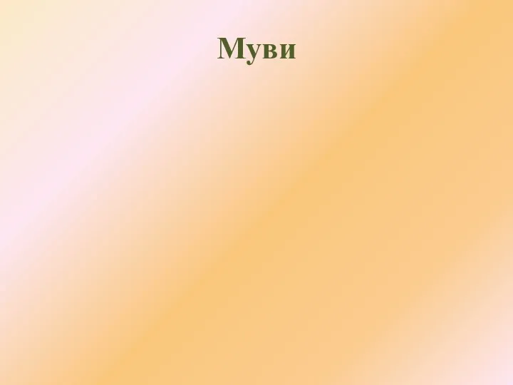 Муви