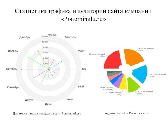 Статистика трафика и аудитории сайта компании «Ponominalu.ru» Динамика прямых заходов на сайт Ponominalu.ru Аудитория сайта Ponominalu.ru