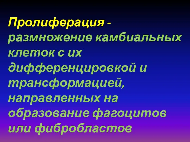 Пролиферация -размножение камбиальных клеток с их дифференцировкой и трансформацией, направленных на образование фагоцитов или фибробластов