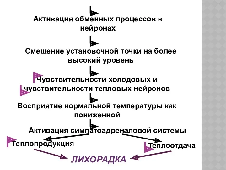 Активация обменных процессов в нейронах Смещение установочной точки на более