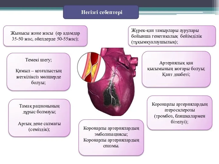 Негізгі себептері Жынысы және жасы (ер адамдар 35-50 жас, әйелдерде